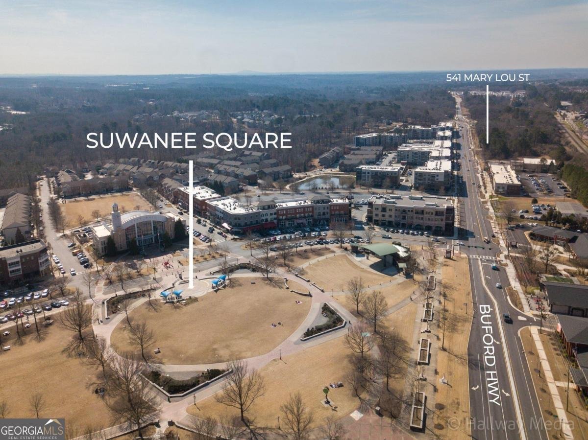 541 Mary Lou Street Suwanee - 10