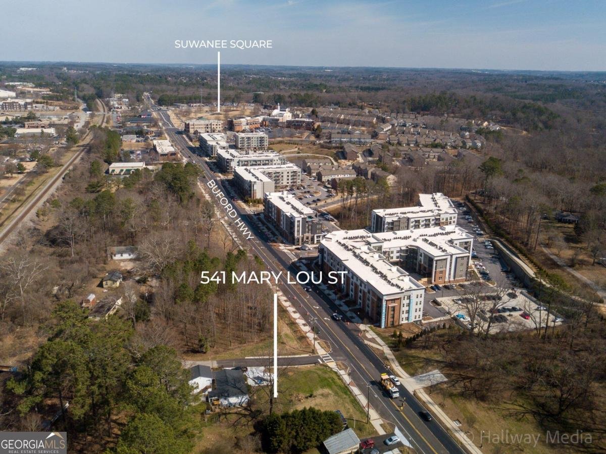 541 Mary Lou Street Suwanee - 8