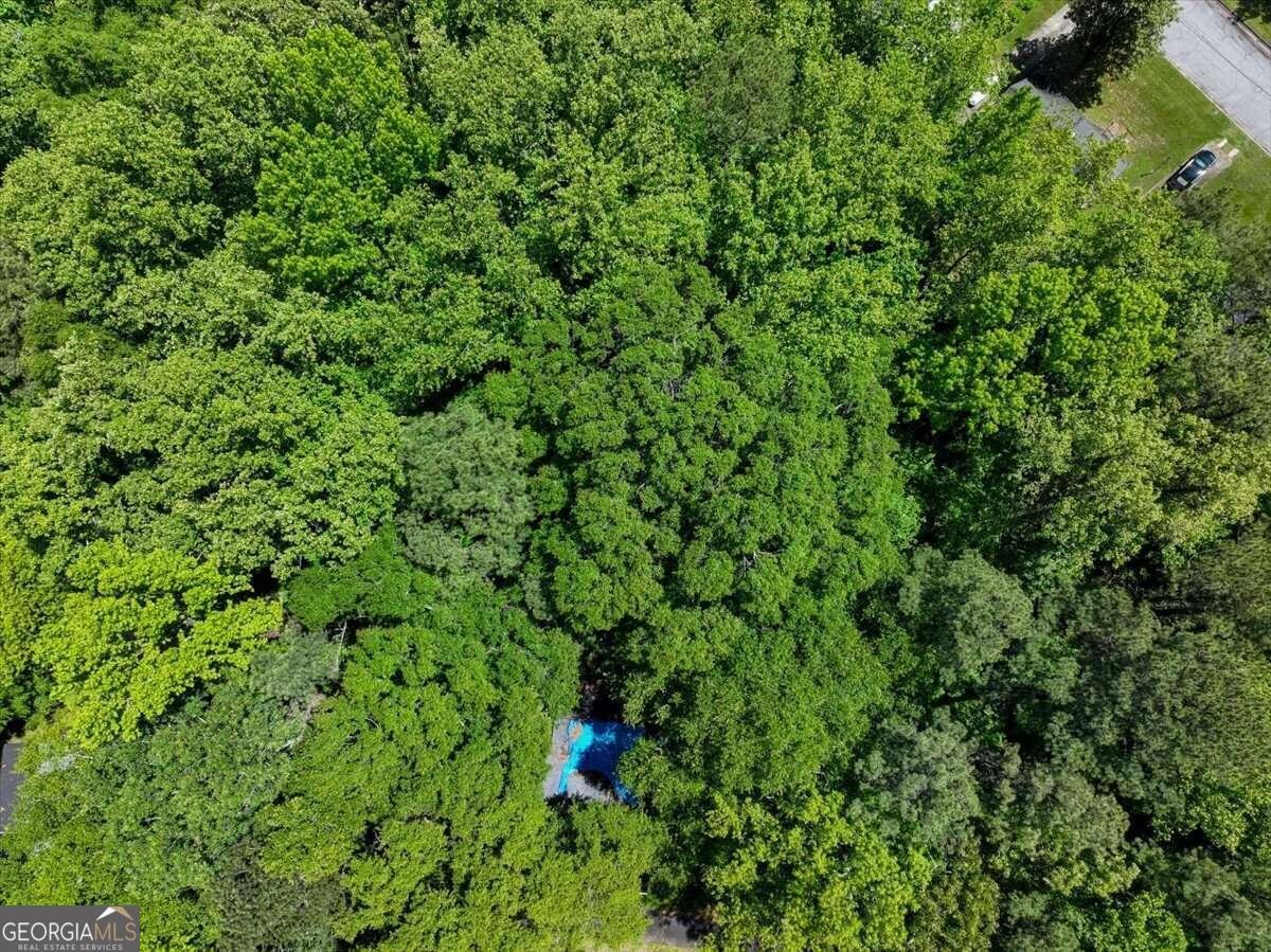 731 Bolton Road Atlanta - 6