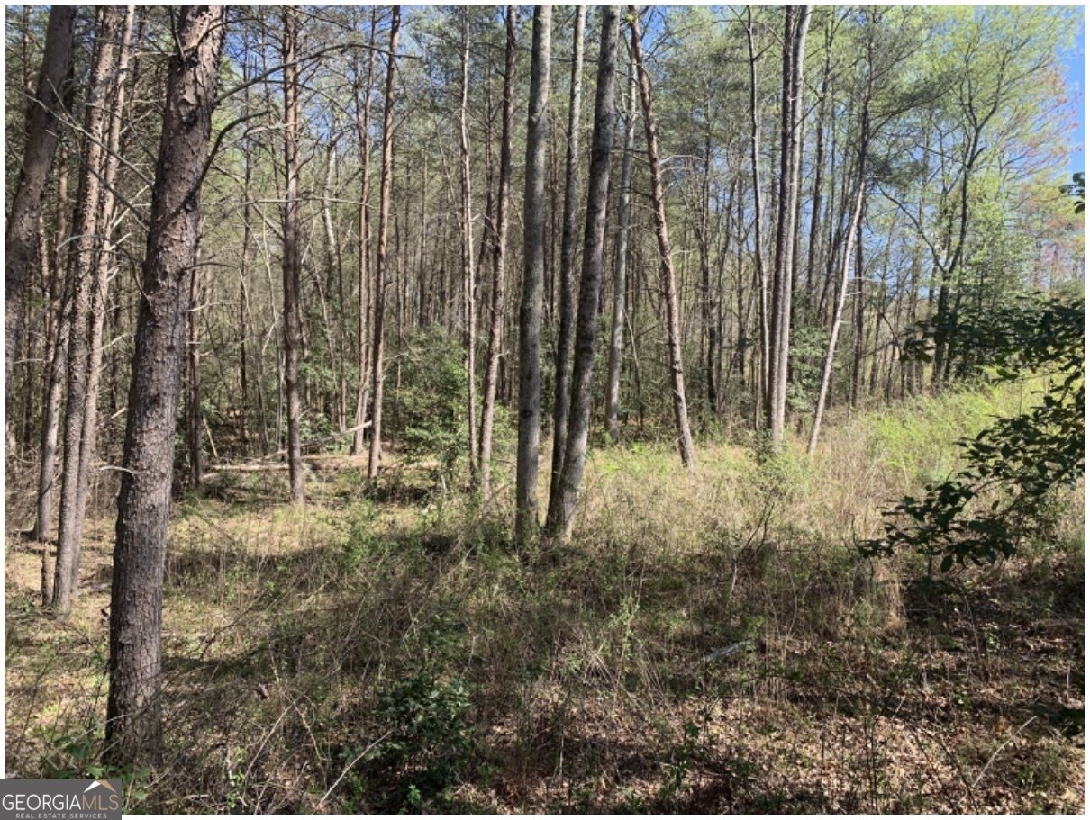 LOT 45, 240 Woodmont Drive Cornelia - 11