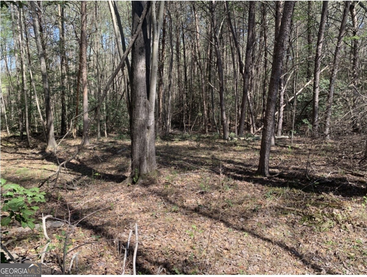 LOT 45, 240 Woodmont Drive Cornelia - 8