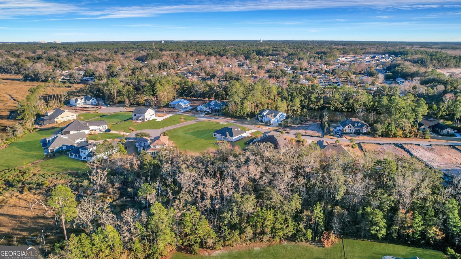123 Tidal Marsh Way St. Marys - 102