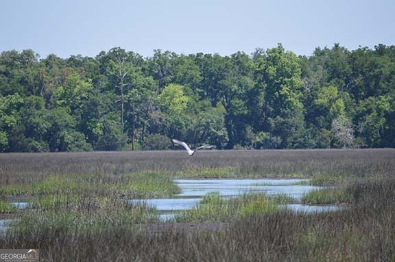 201 Tidal Marsh Way St. Marys - 12