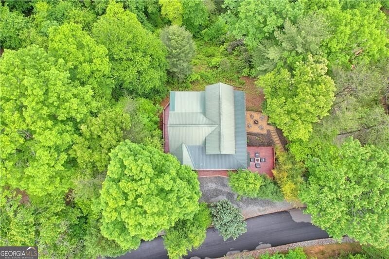 133 Dallas Lane Blue Ridge - 54
