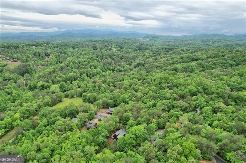 133 Dallas Lane Blue Ridge - 55