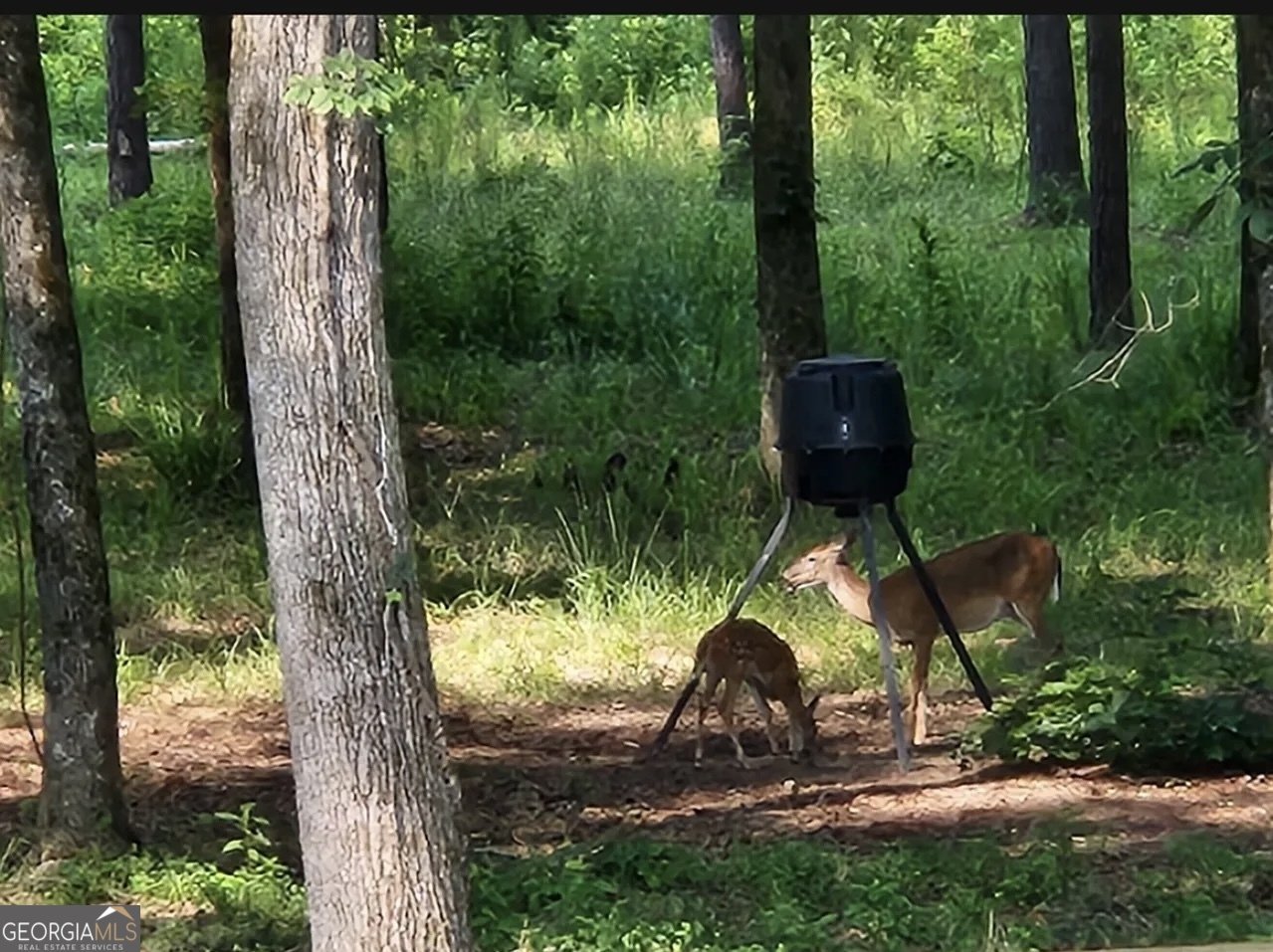 359 Poplar Crawfordville - Photo 27
