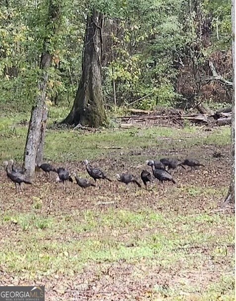 359 Poplar Crawfordville - Photo 28