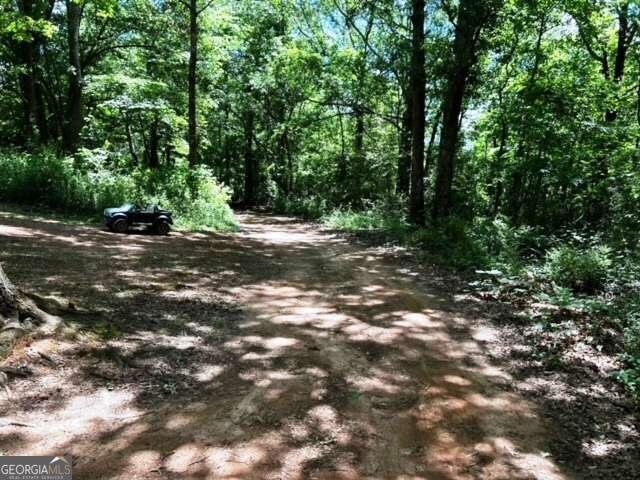 464 Still Okelley Road Danielsville - 25