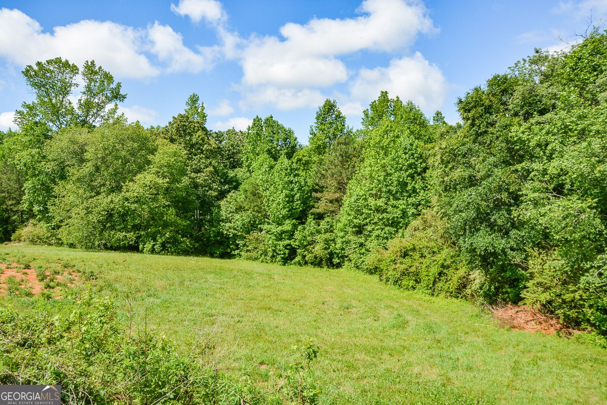 114 Addington Lane Waleska - 126