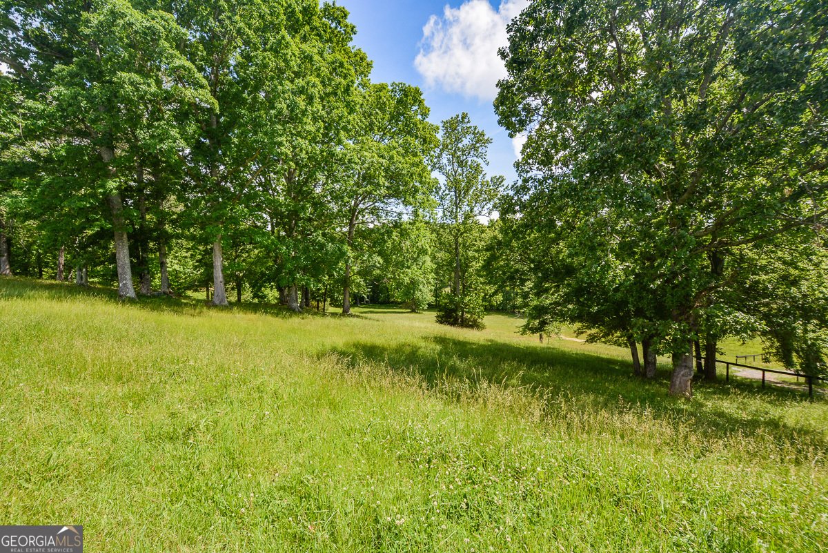 114 Addington Lane Waleska - 128