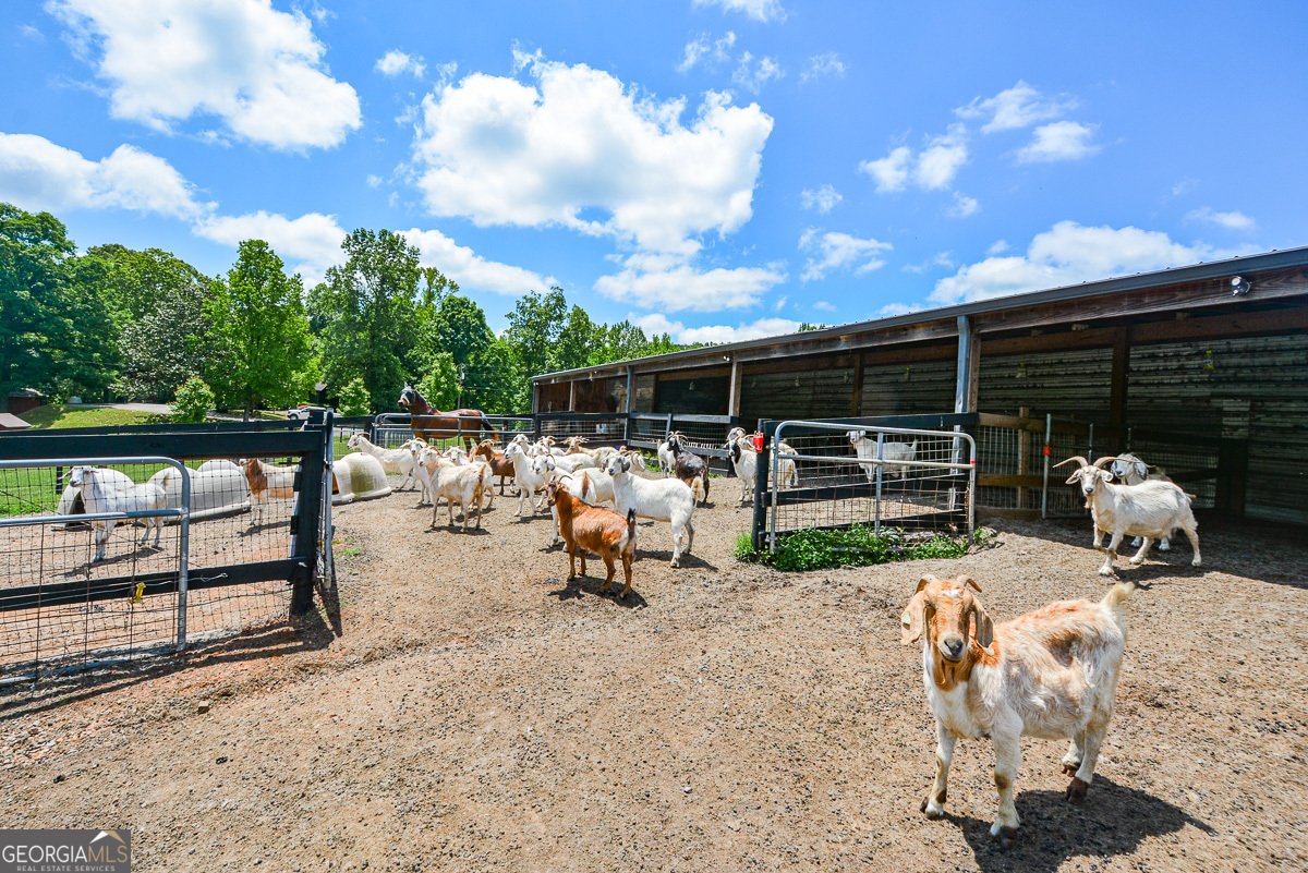 114 Addington Lane Waleska - 142