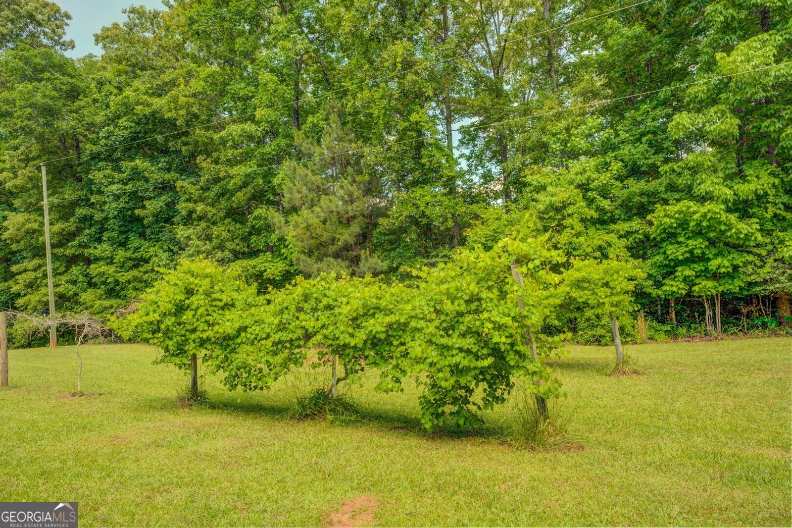 500 Cochran Road Covington - 50