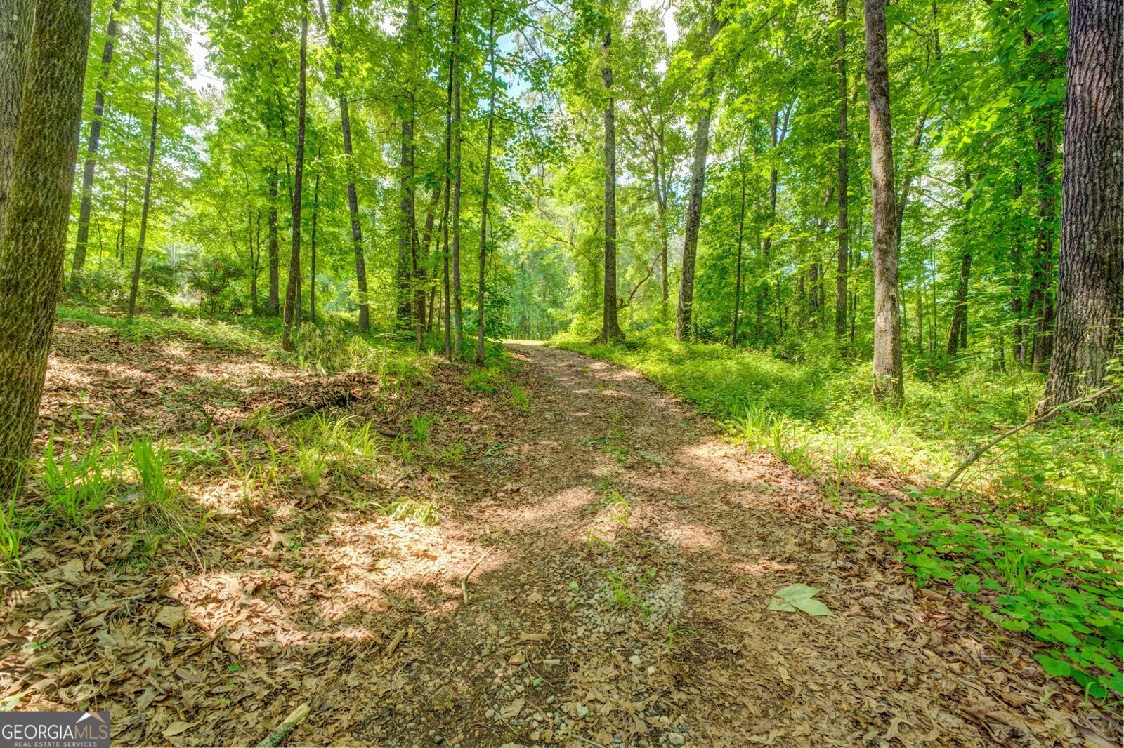 500 Cochran Road Covington - 54