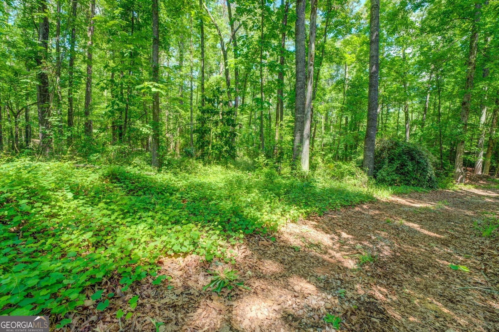 500 Cochran Road Covington - 56