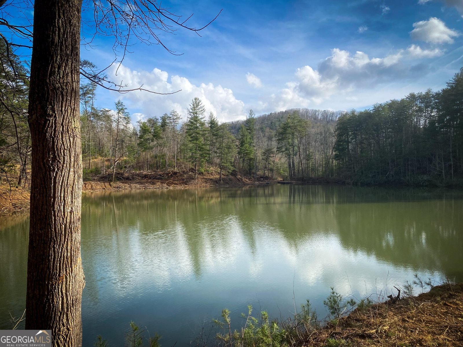 1941 Old Northcutt Road Ellijay - 48