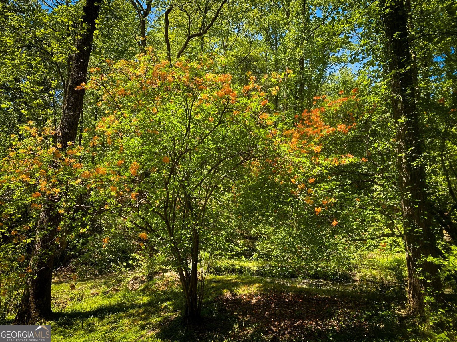 1941 Old Northcutt Road Ellijay - 50