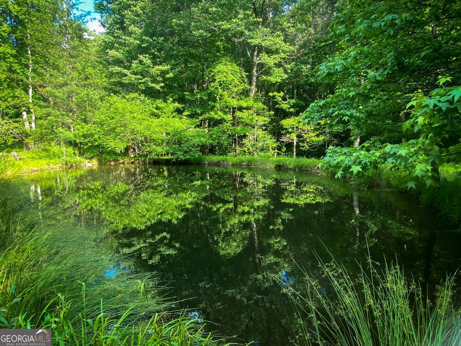 2151 Old Northcutt Road Ellijay - 56