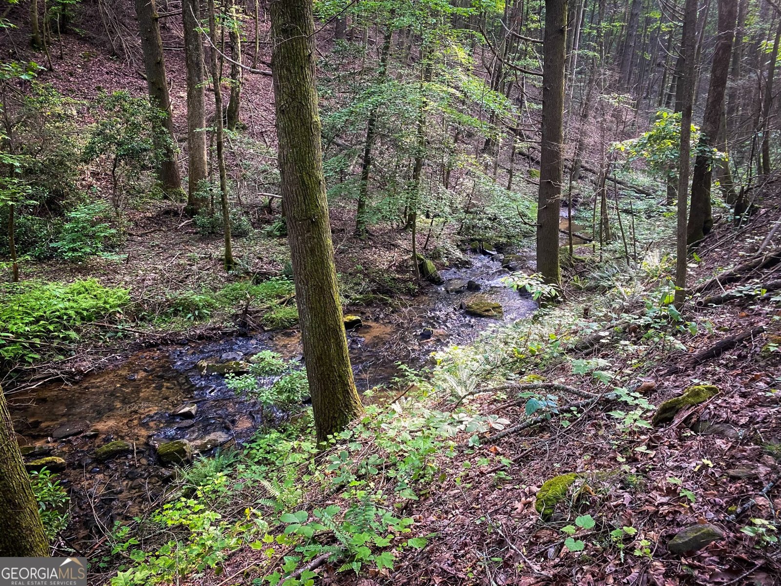 2151 Old Northcutt Road Ellijay - 62