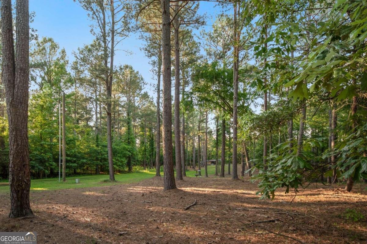 703 Haygood Road Resaca - 23