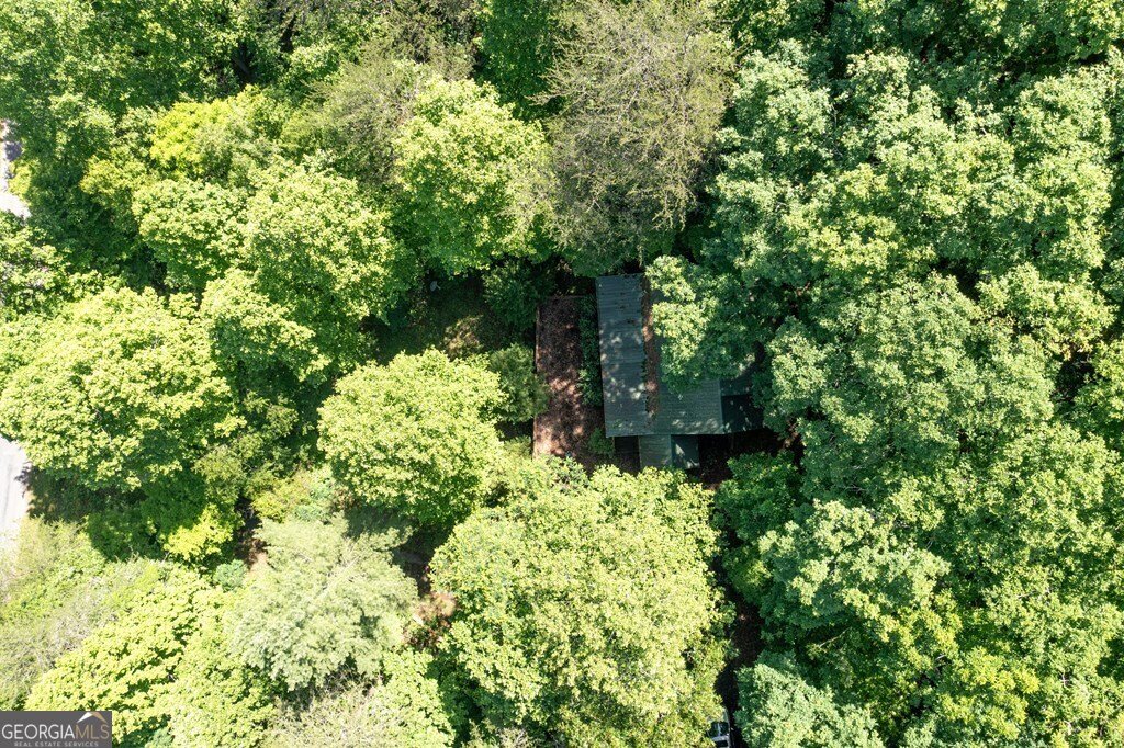1380 Deerfield Road Young Harris - 11