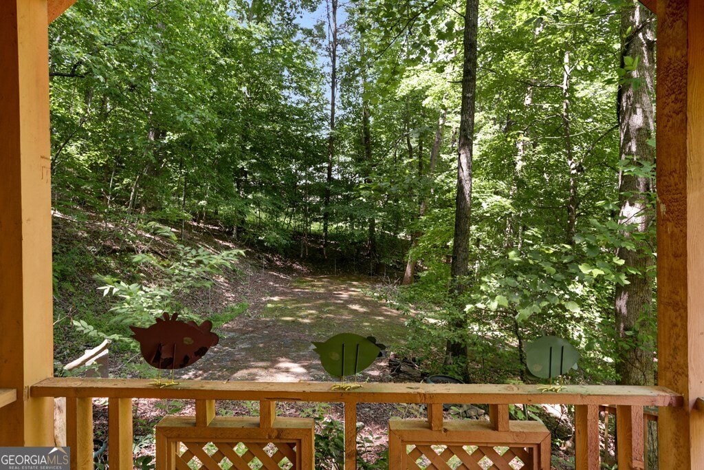 1380 Deerfield Road Young Harris - 19