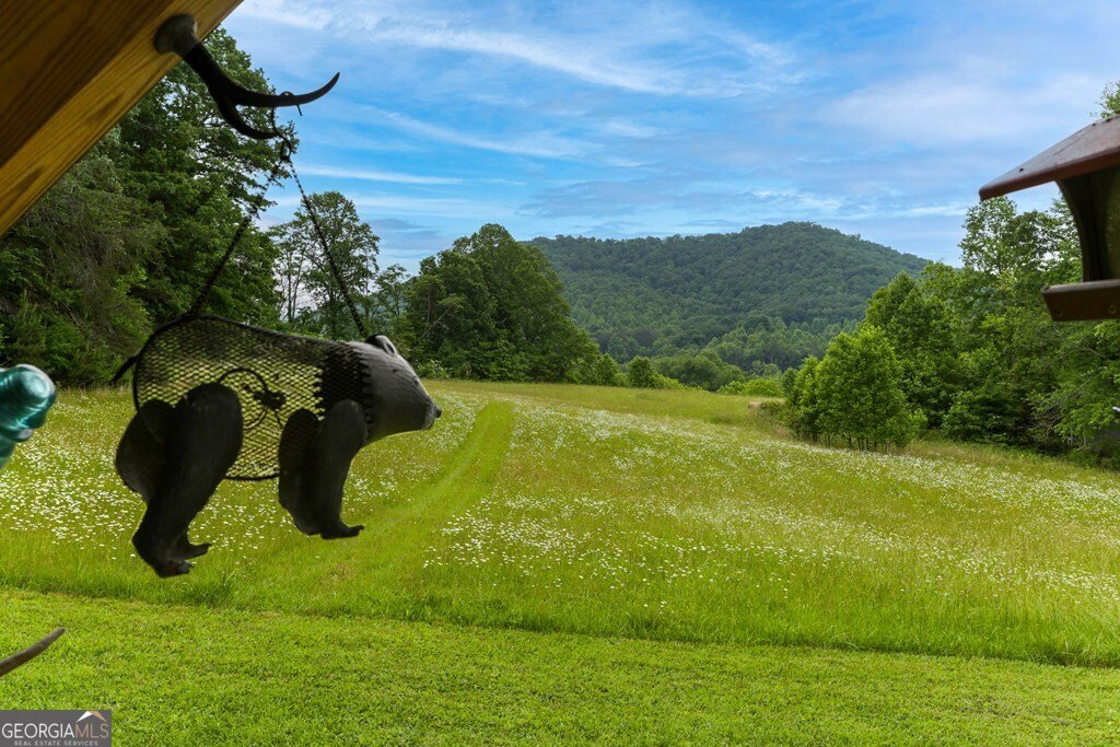 1281 Lawrence Smith Road Hayesville - 5