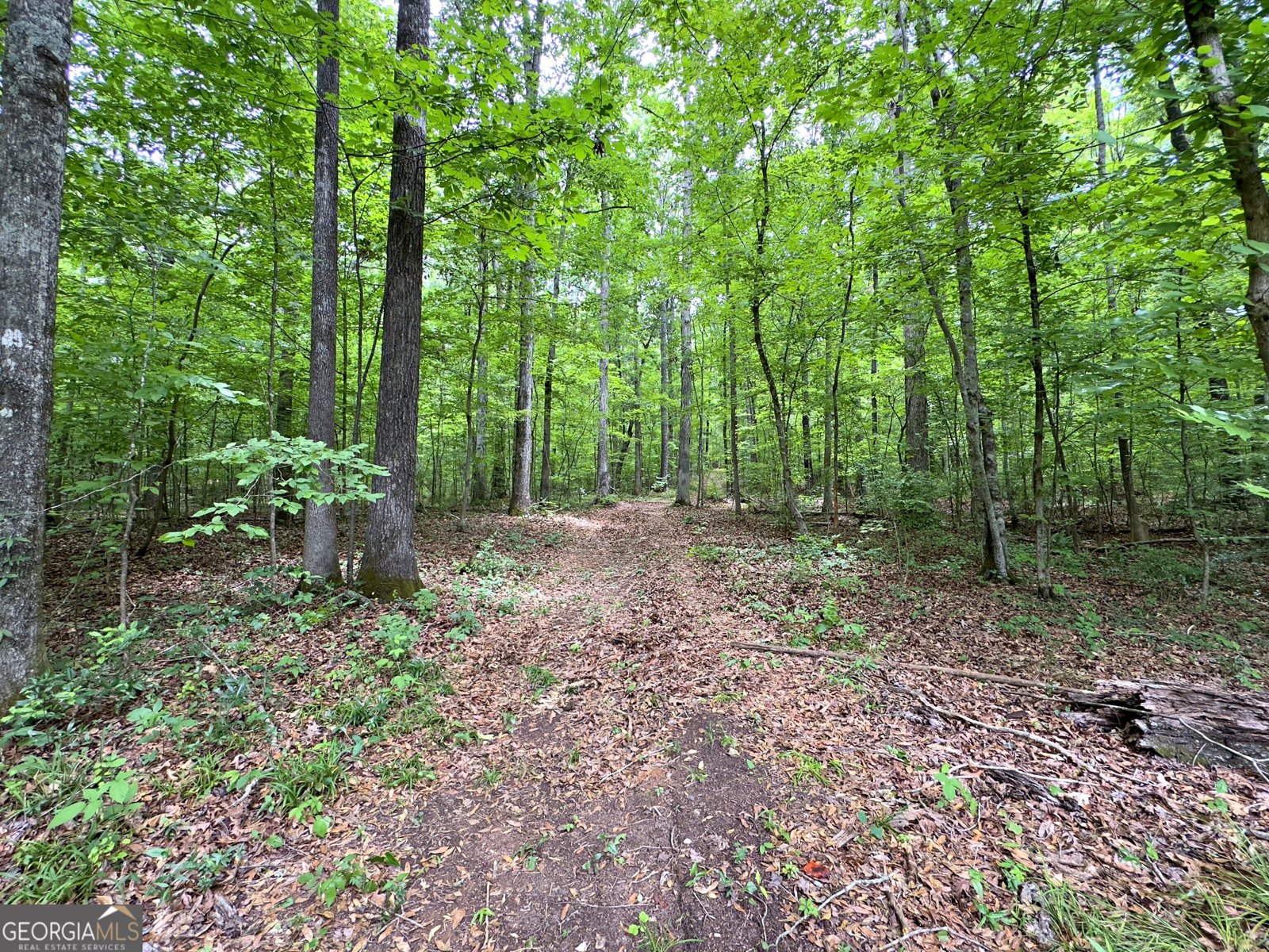 240 Riverview Road Jackson - 56