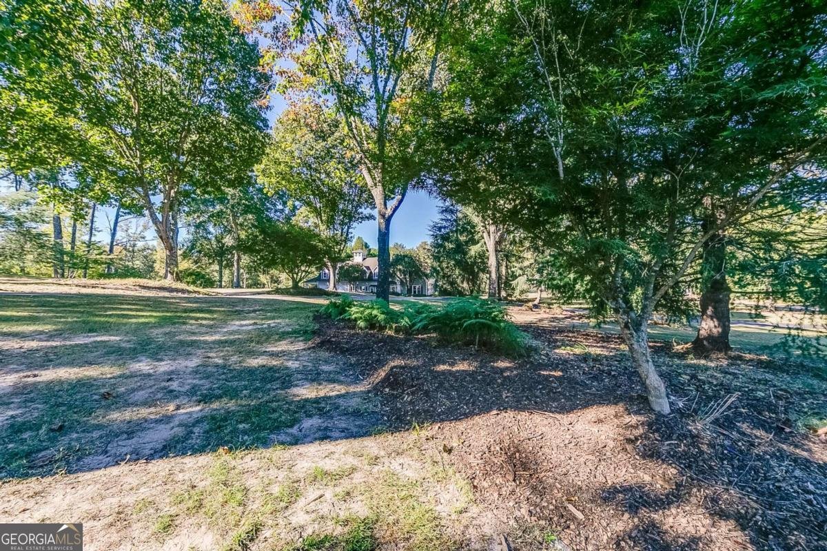 479 Bill Watkins Road Hoschton - 8