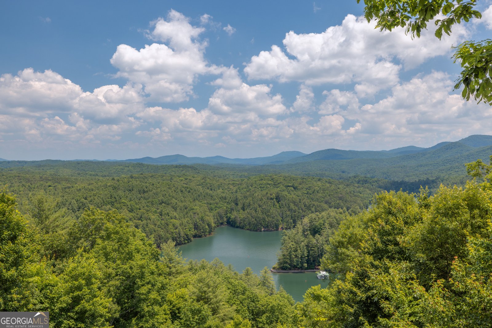 540 Brown Bear Path Blue Ridge - 3