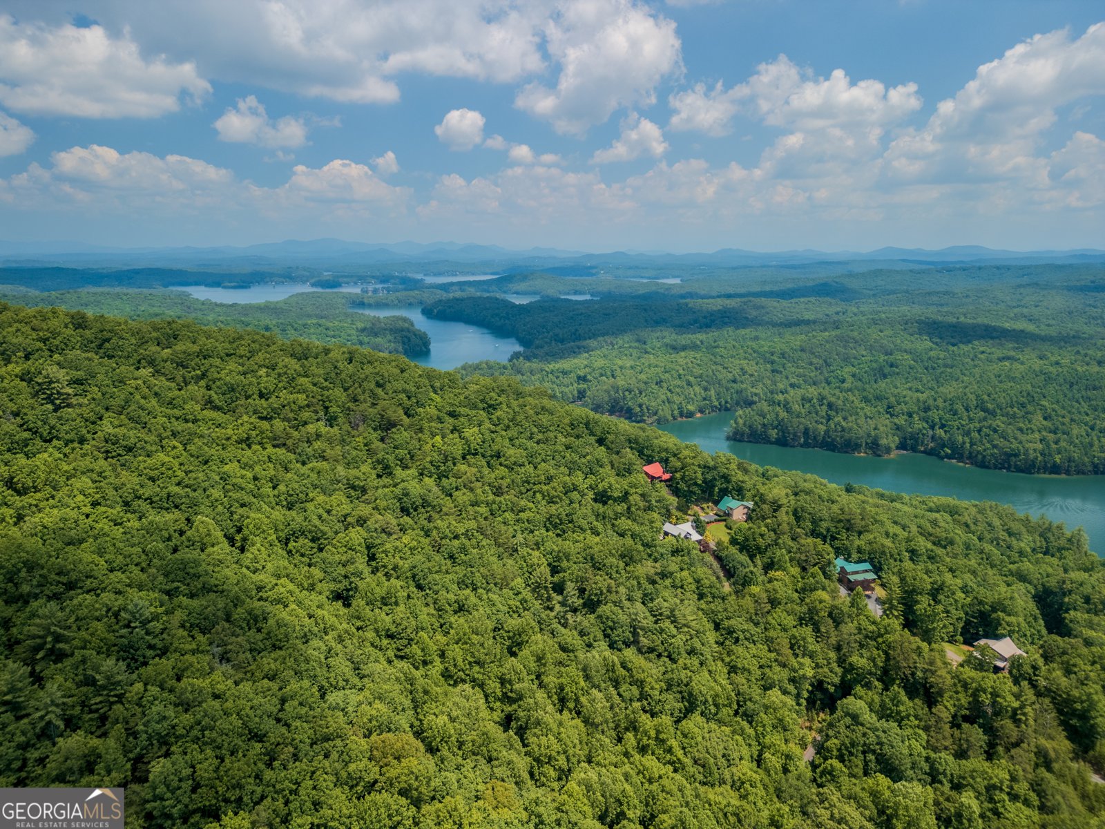 540 Brown Bear Path Blue Ridge - 45