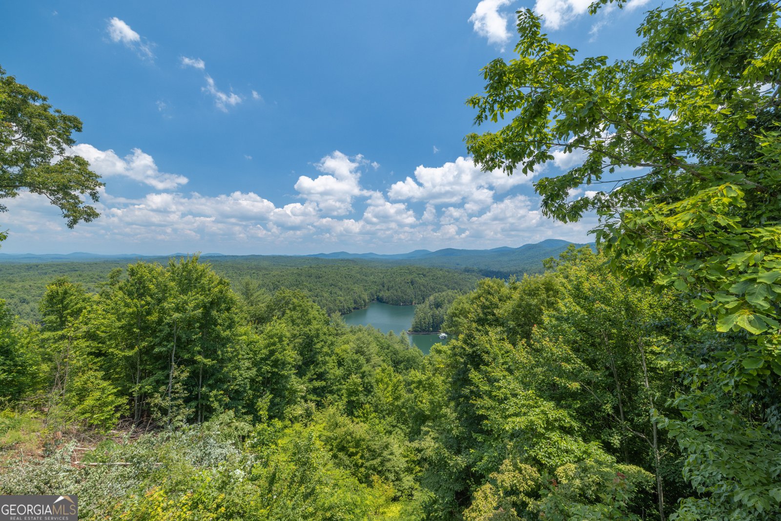 540 Brown Bear Path Blue Ridge - 48