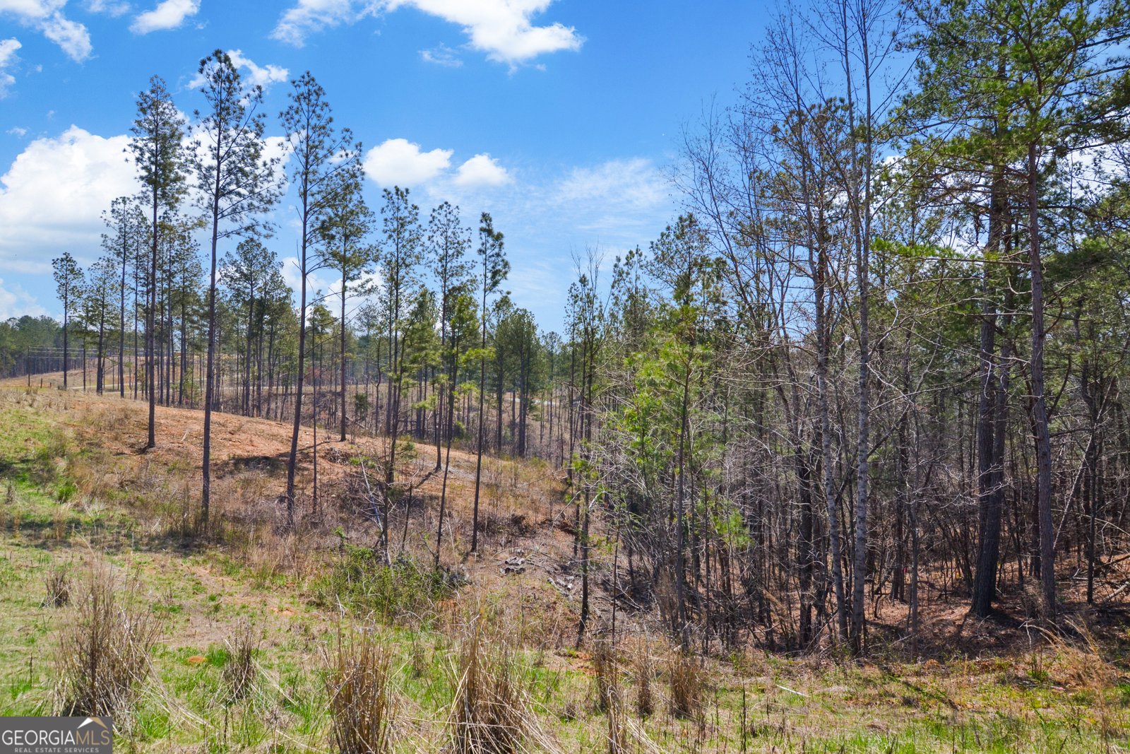150 Blalock Mountain Road Talking Rock - 11