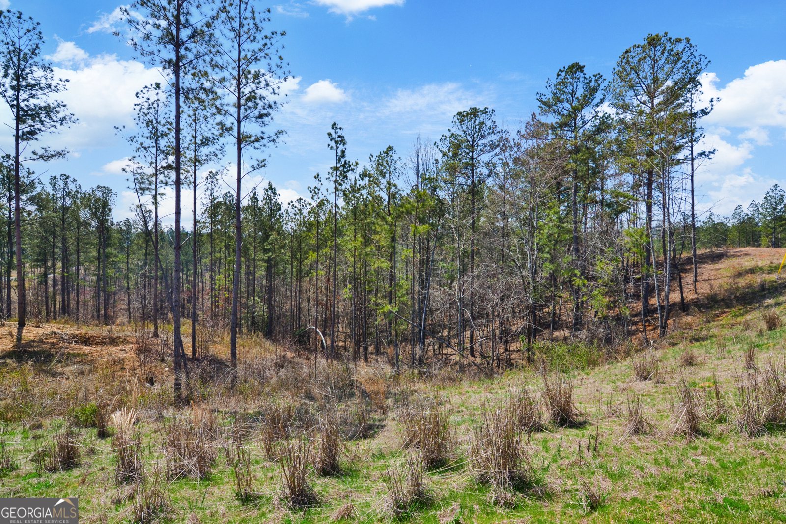 150 Blalock Mountain Road Talking Rock - 12