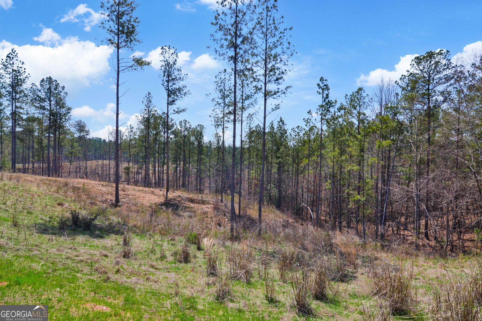 150 Blalock Mountain Road Talking Rock - 13