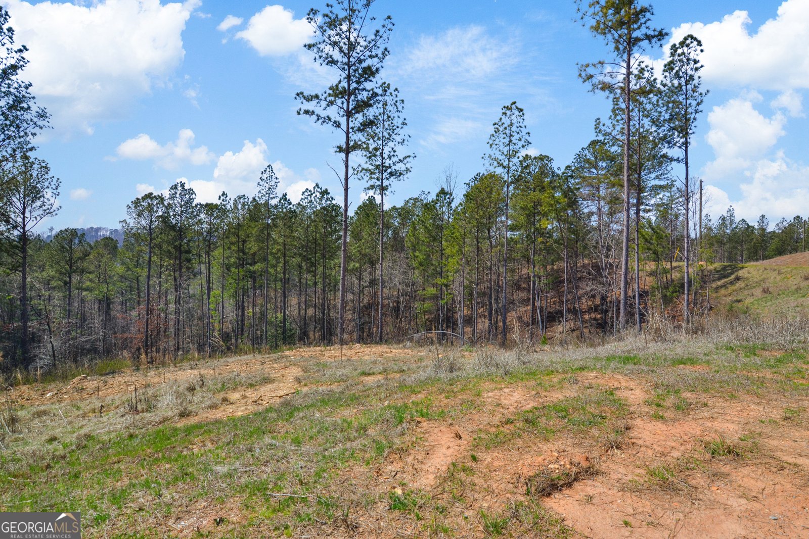 150 Blalock Mountain Road Talking Rock - 14