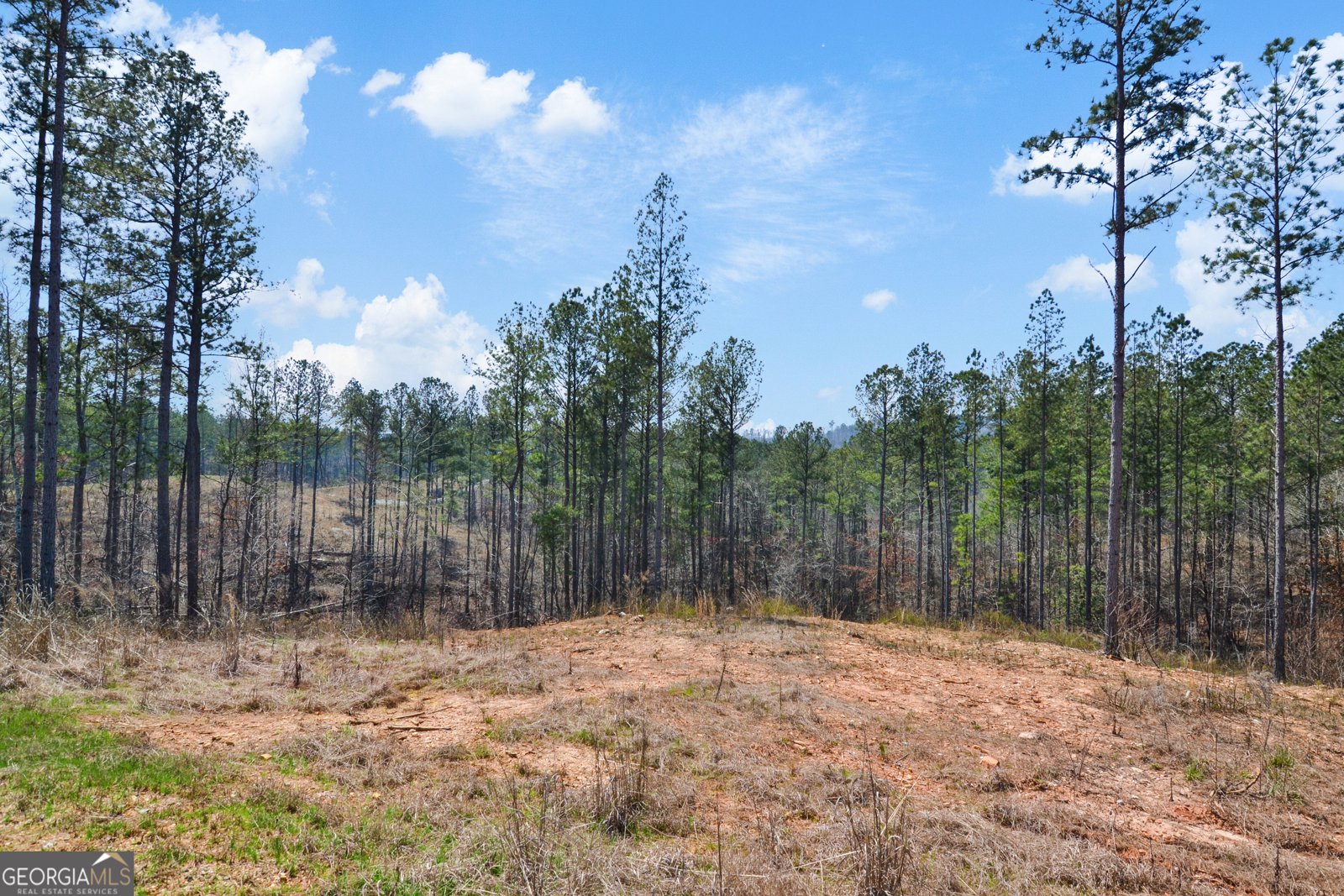 150 Blalock Mountain Road Talking Rock - 16