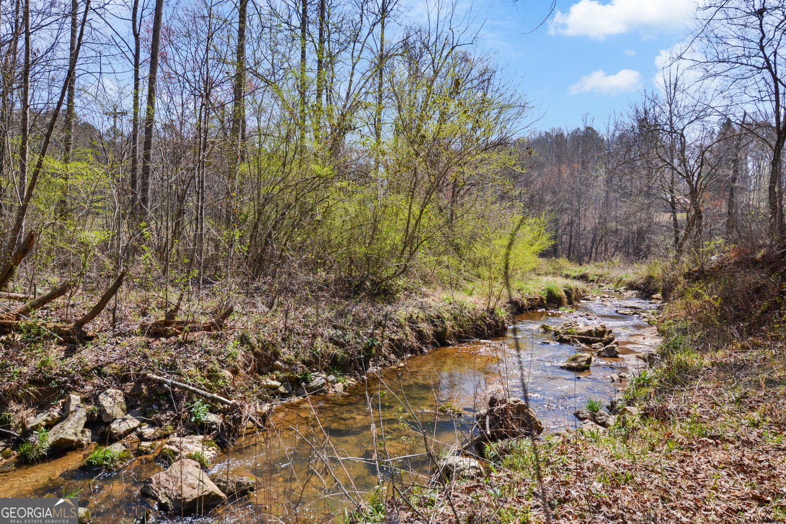 150 Blalock Mountain Road Talking Rock - 23
