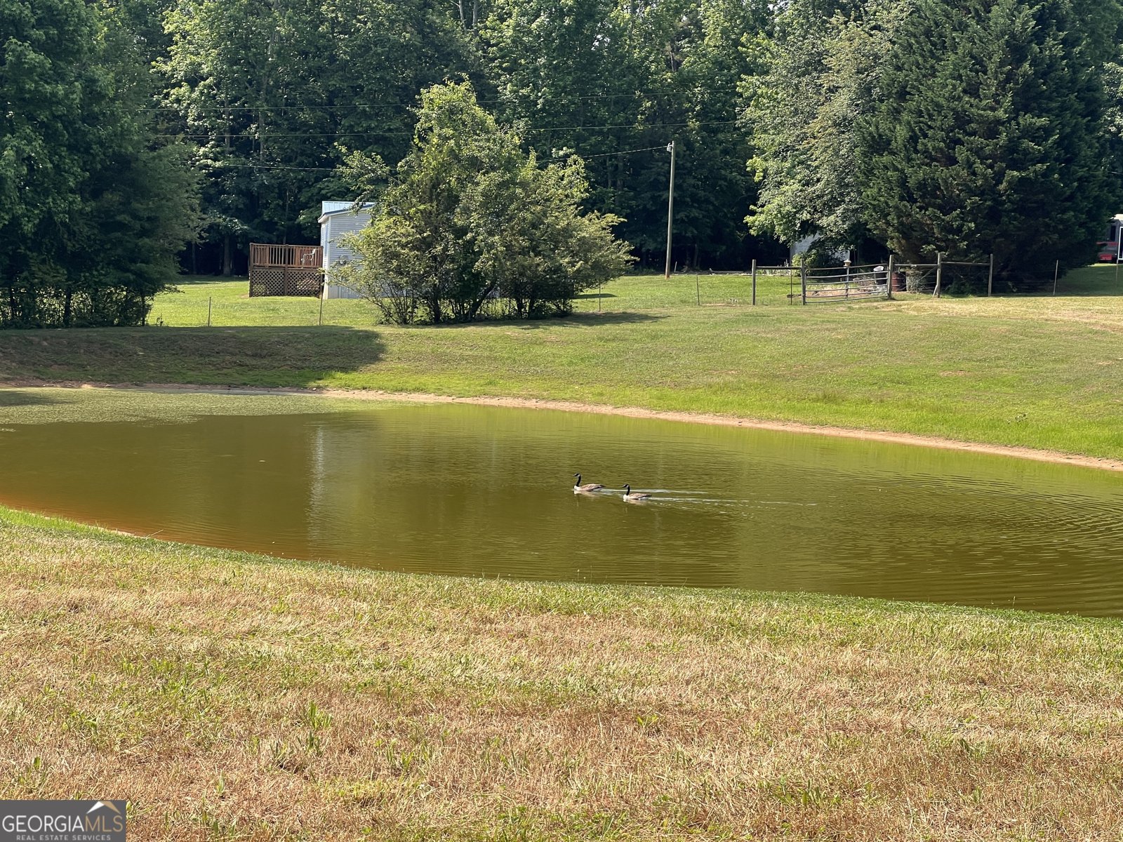 161 Archer Grove Road Athens - 19