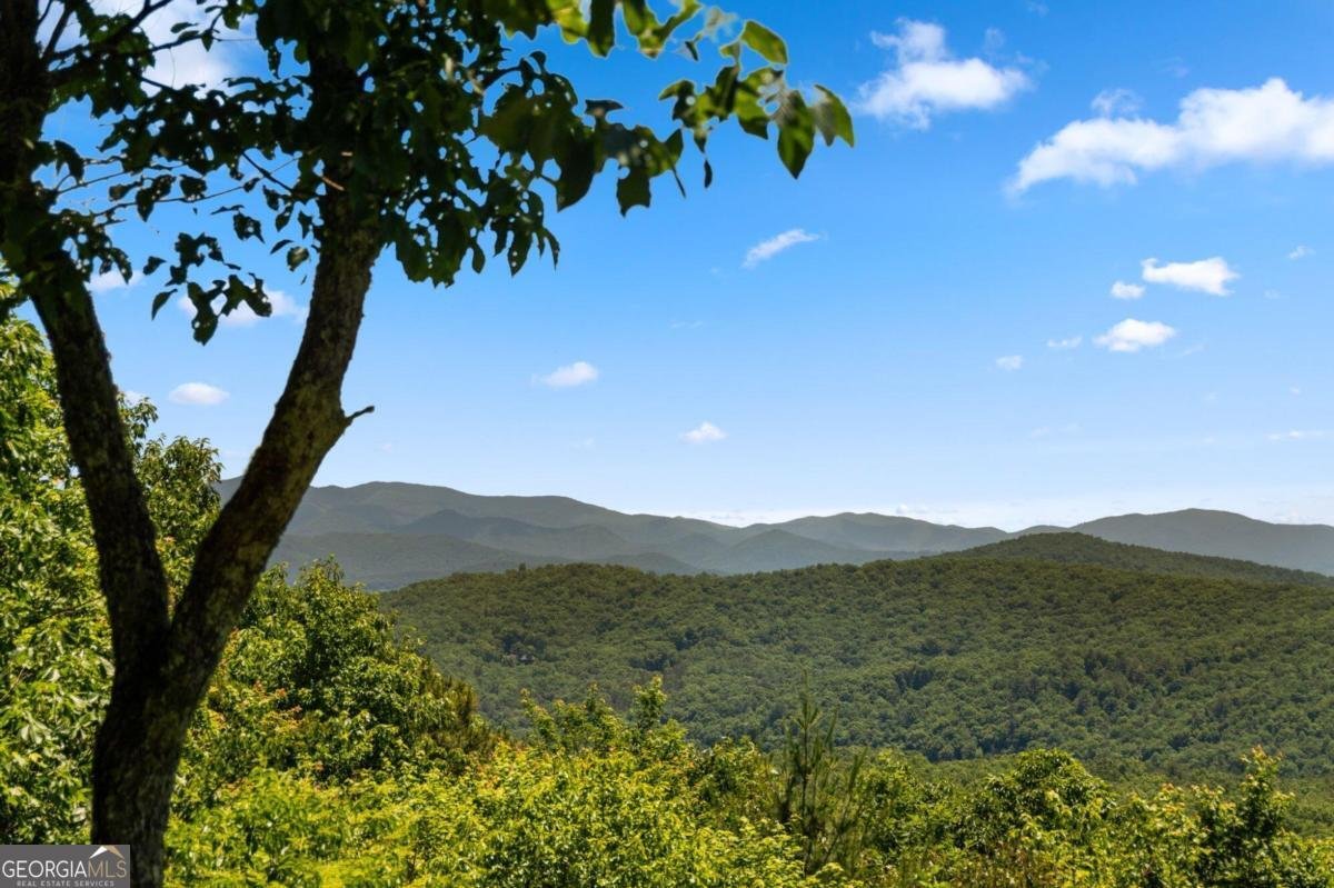 976 Mull Valley Road Morganton - 61