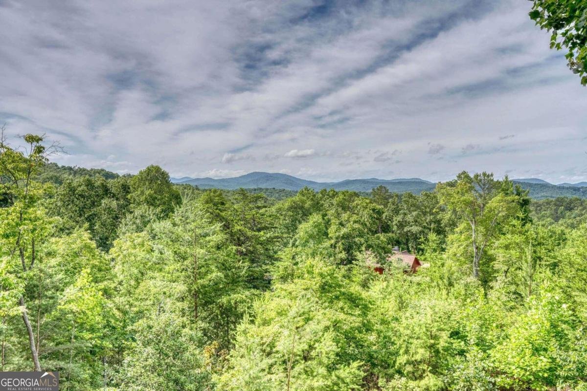 640 Meadow Brook Trail Morganton - 41