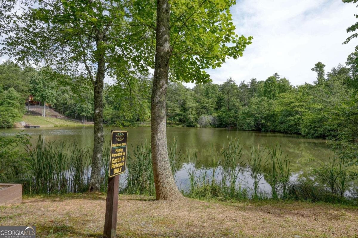 640 Meadow Brook Trail Morganton - 7