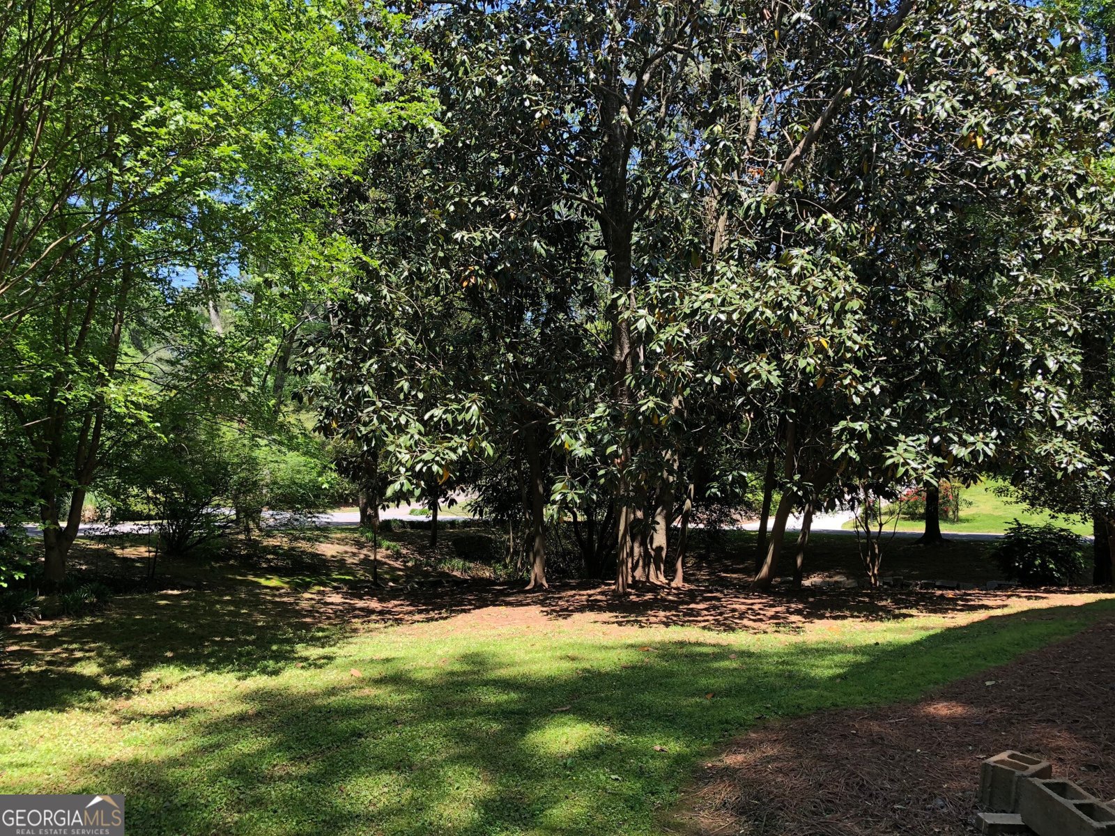 2692 Peppermint Drive Tucker - 3