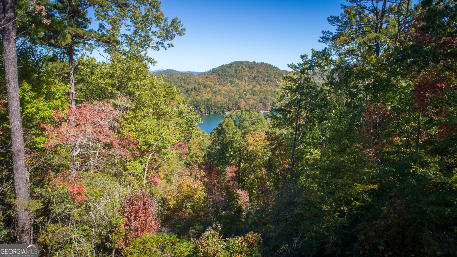 0 Ivy Ridge Way Clarkesville - 10