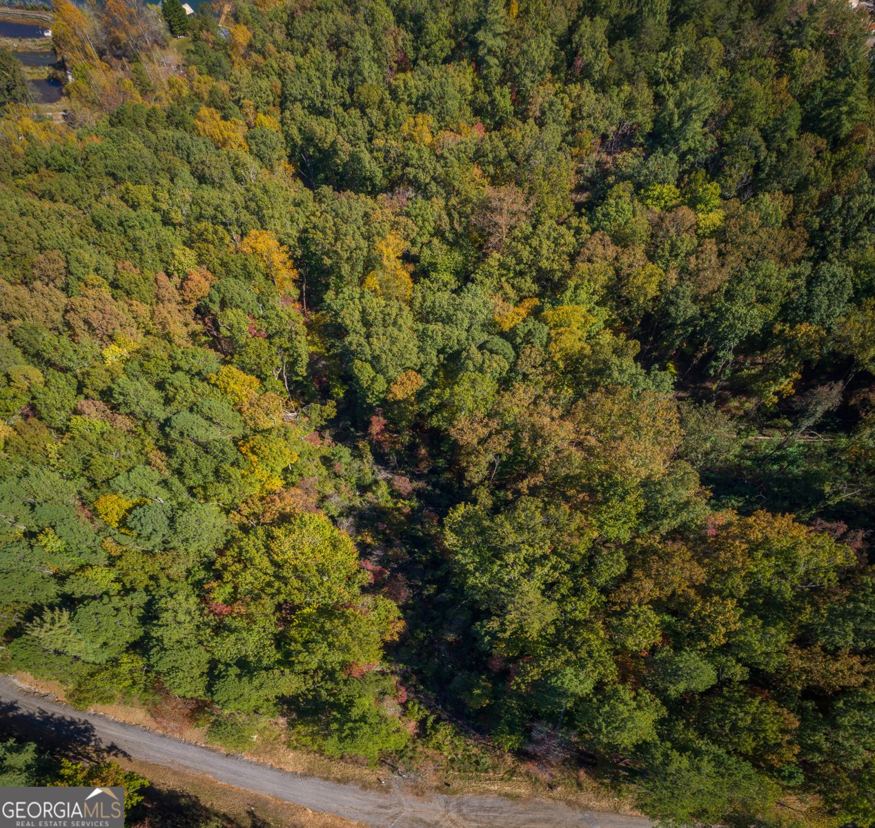 0 Ivy Ridge Way Clarkesville - 11