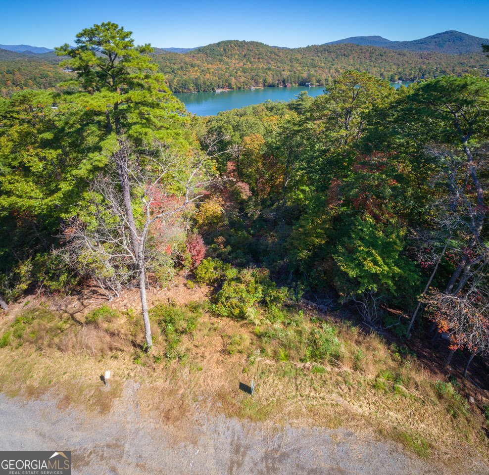 0 Ivy Ridge Way Clarkesville - 8