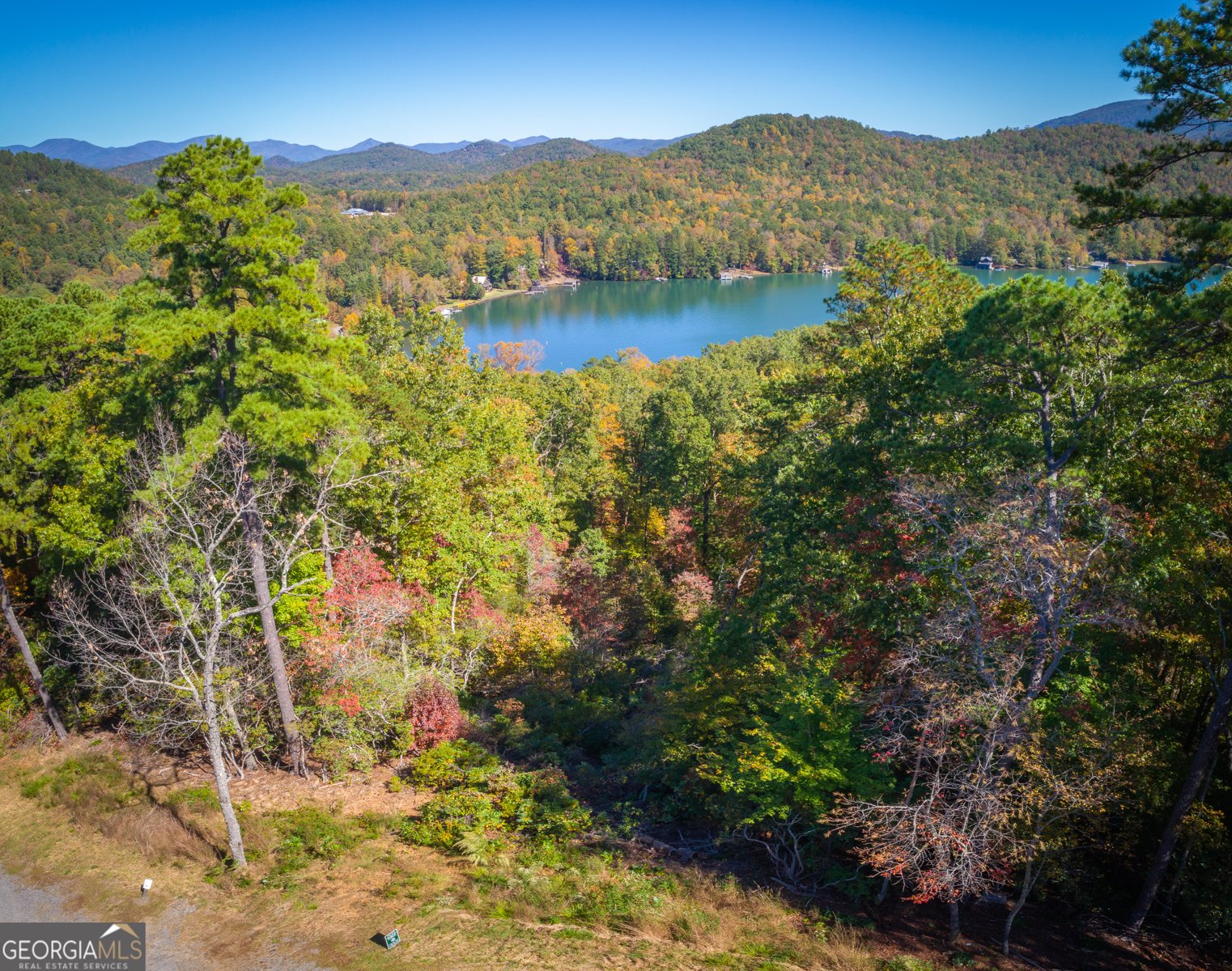 0 Ivy Ridge Way Clarkesville - 9