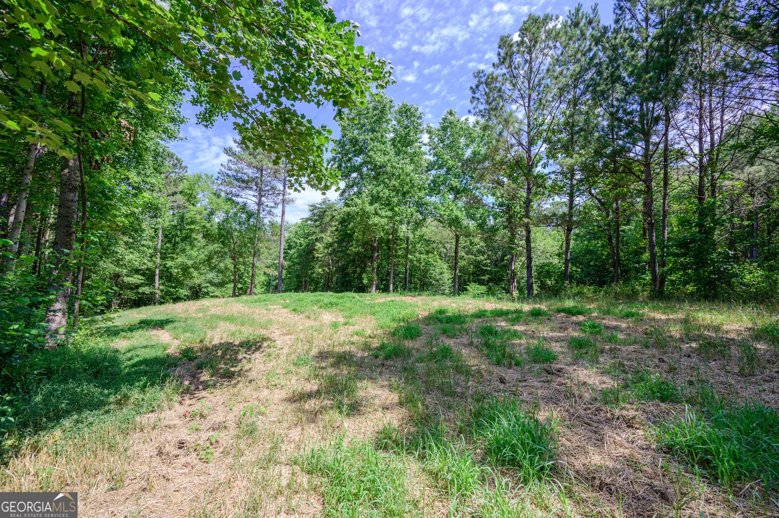 4753 Jerusalem Church Road Fairmount - 26