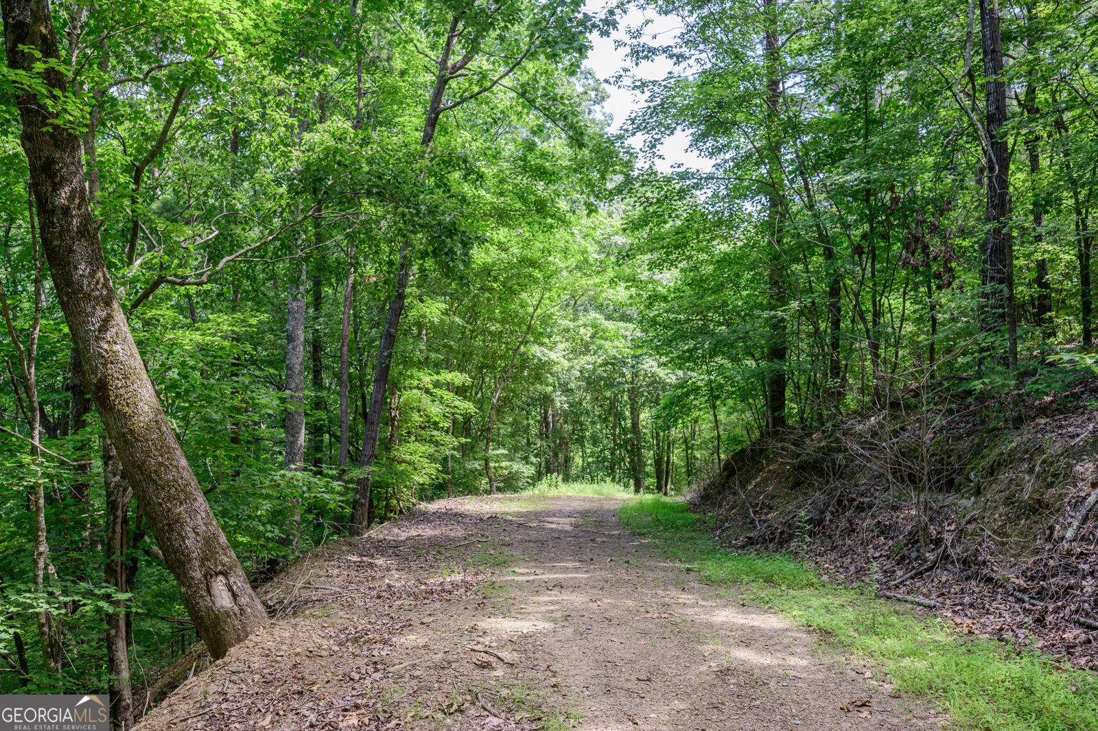 4753 Jerusalem Church Road Fairmount - 27