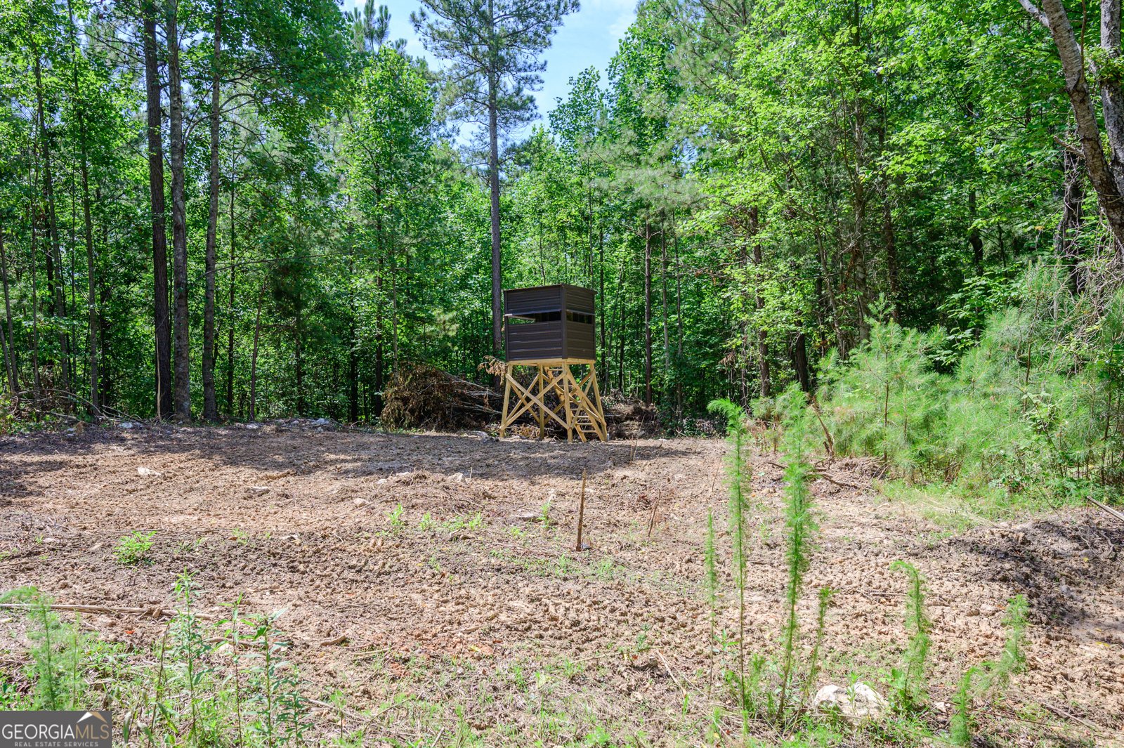 4753 Jerusalem Church Road Fairmount - 34