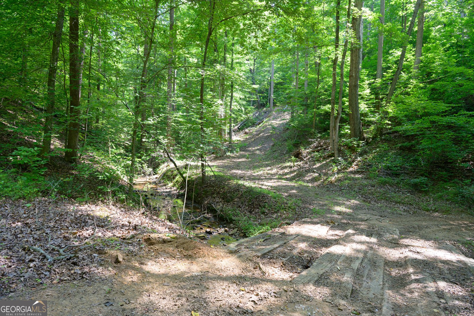 4753 Jerusalem Church Road Fairmount - 41